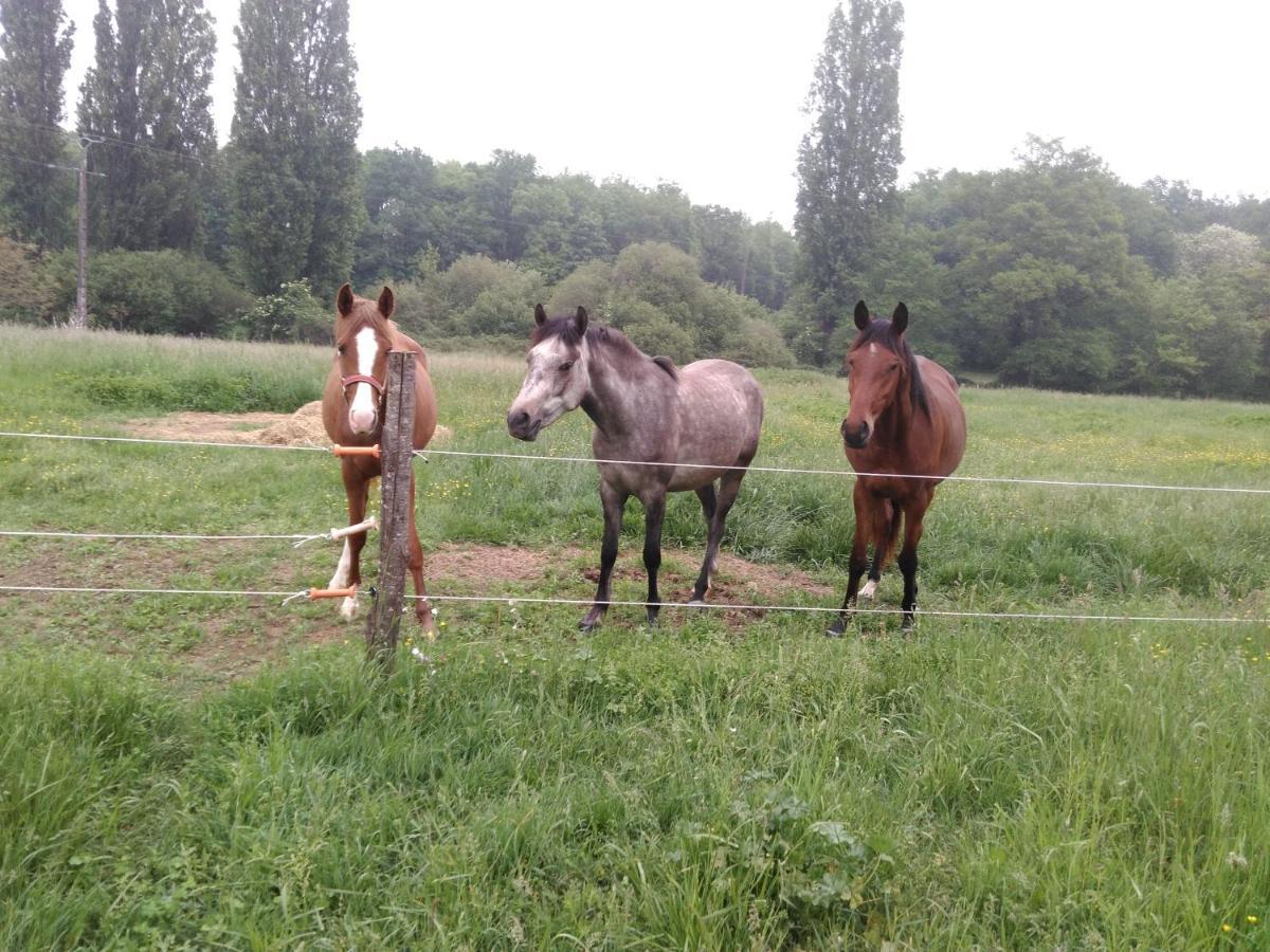 Chambres D'Hotes Gourdon Gourdon en Quercy Esterno foto